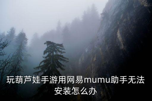 玩葫芦娃手游用网易mumu助手无法安装怎么办