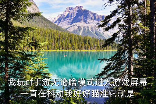 我玩cf手游无论啥模式进入游戏屏幕一直在抖动我好好瞄准它就是