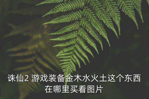 诛仙2 游戏装备金木水火土这个东西在哪里买看图片