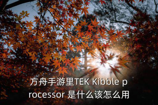 方舟手游地牢怎么打脊背龙，方舟手游里TEK Kibble processor 是什么该怎么用