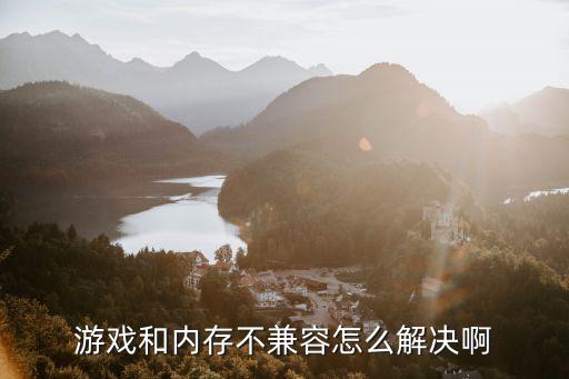 游戏和内存不兼容怎么解决啊