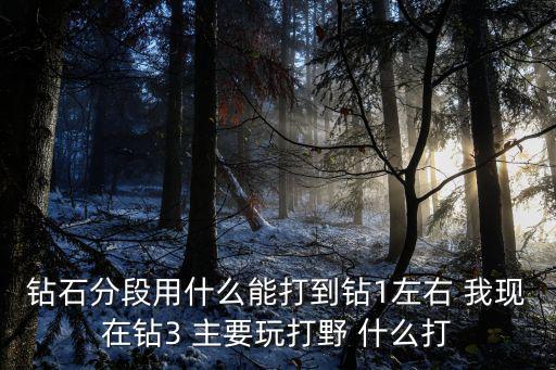 钻石分段用什么能打到钻1左右 我现在钻3 主要玩打野 什么打