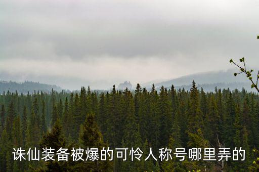 诛仙装备被爆的可怜人称号哪里弄的