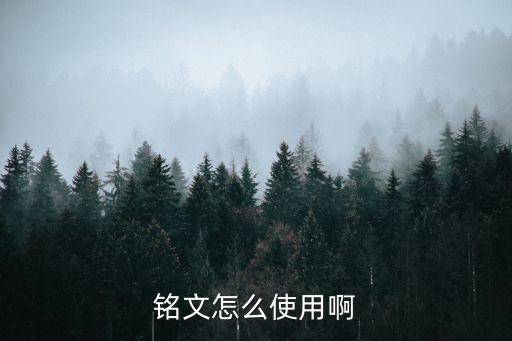 铭文怎么使用啊