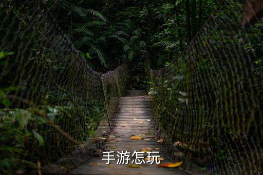 手游风暴龙怎么玩，风暴魔域手游怎么玩