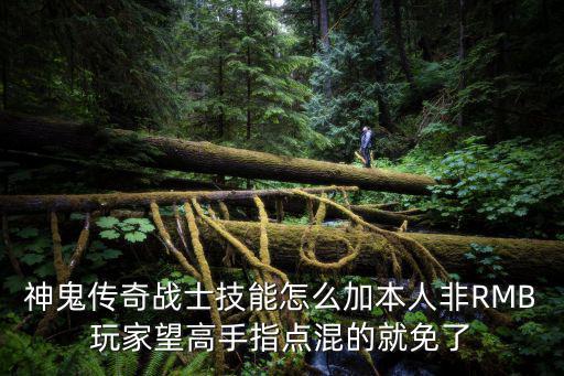神鬼传奇战士技能怎么加本人非RMB玩家望高手指点混的就免了