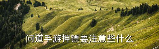 问道手游押镖怎么不给金币，问道手游押镖要注意些什么