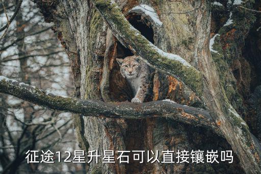 手游征途12星升灵珠怎么用，征途12星升星石可以直接镶嵌吗