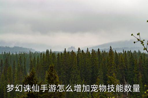 梦幻诛仙手游怎么增加宠物技能数量