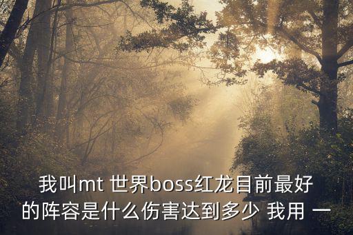 我叫mt 世界boss红龙目前最好的阵容是什么伤害达到多少 我用 一