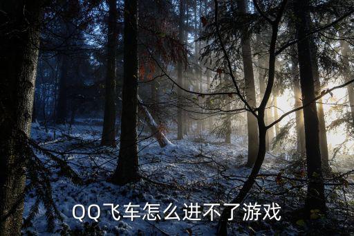 QQ飞车怎么进不了游戏