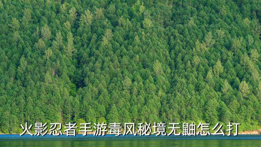 火影忍者手游毒风秘境无鼬怎么打