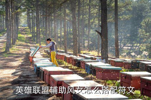 英雄联盟辅助风女怎么搭配符文