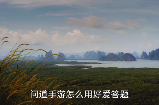 问道手游怎么用好爱答题