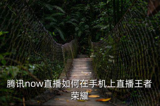 腾讯now直播如何在手机上直播王者荣耀
