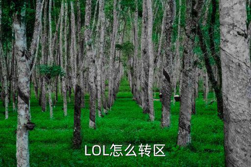 LOL怎么转区