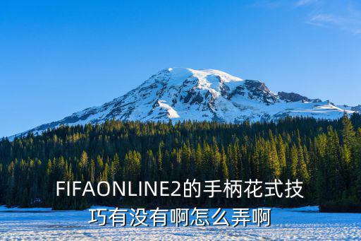 FIFAONLINE2的手柄花式技巧有没有啊怎么弄啊