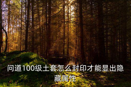 问道100级土套怎么封印才能显出隐藏属性