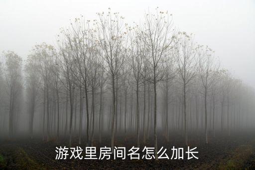游戏里房间名怎么加长