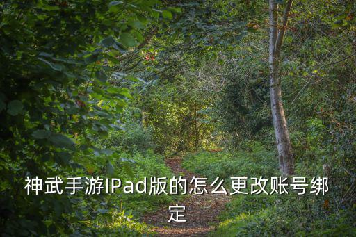 神武手游IPad版的怎么更改账号绑定