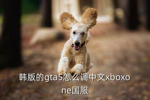 韩版的gta5怎么调中文xboxone国服