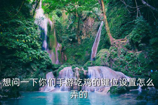 想问一下你们手游吃鸡的键位设置怎么弄的