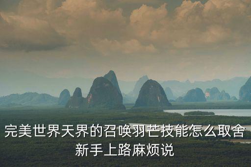 完美世界天界的召唤羽芒技能怎么取舍新手上路麻烦说