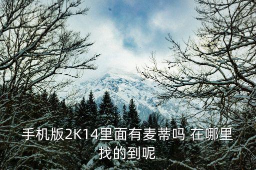 手游2k20麦迪怎么调出来，手机版2K14里面有麦蒂吗 在哪里找的到呢