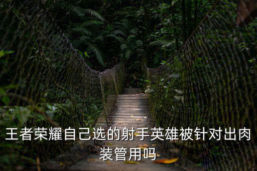 王者荣耀自己选的射手英雄被针对出肉装管用吗