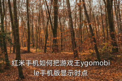 游戏王手游国际服怎么调中午，红米手机如何把游戏王ygomobile手机版显示时点