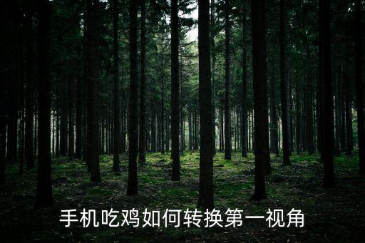 手机吃鸡如何转换第一视角