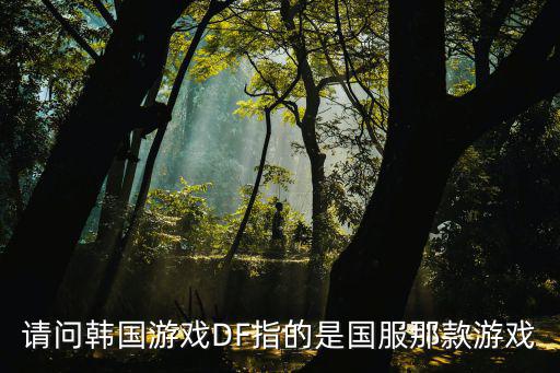 请问韩国游戏DF指的是国服那款游戏