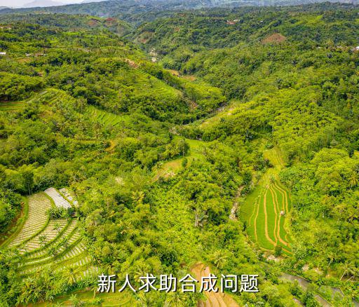 新人求助合成问题