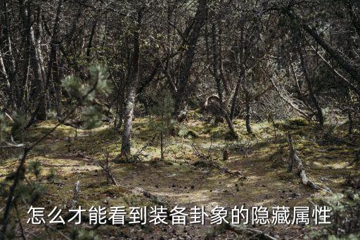问道手游怎么触发装备的隐藏属性，怎么才能看到装备卦象的隐藏属性