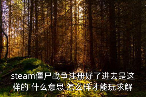 steam僵尸战争注册好了进去是这样的 什么意思 怎么样才能玩求解
