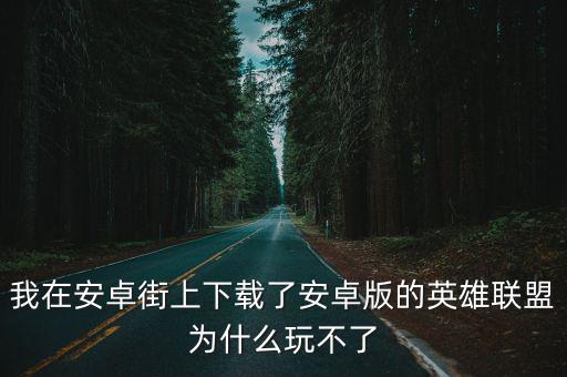 我在安卓街上下载了安卓版的英雄联盟为什么玩不了