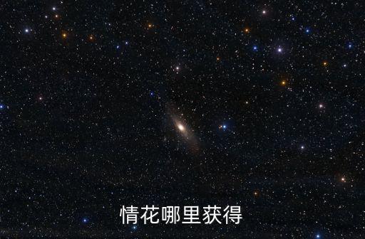 情花哪里获得