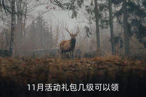 11月活动礼包几级可以领