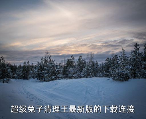 手游超级兔子人联机版怎么下载，超级兔子清理王最新版的下载连接