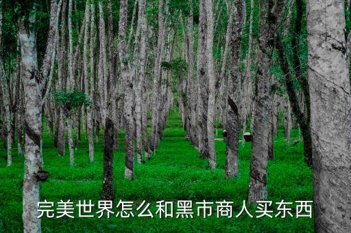 完美世界怎么和黑市商人买东西