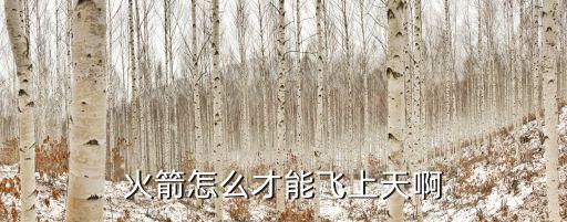 火箭怎么才能飞上天啊