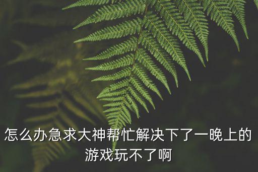 猫和老鼠手游晚上玩不了怎么办，猫和老鼠手游闪退怎么办 黑屏闪退解决方法