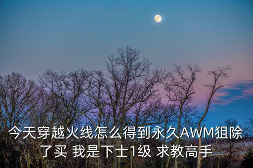 今天穿越火线怎么得到永久AWM狙除了买 我是下士1级 求教高手
