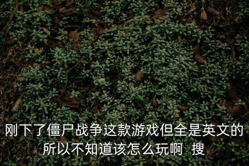 刚下了僵尸战争这款游戏但全是英文的所以不知道该怎么玩啊 搜