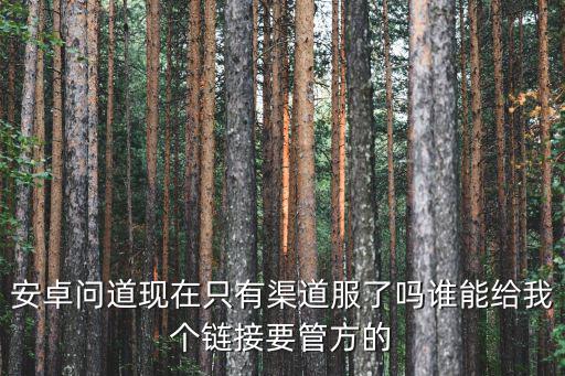 安卓问道现在只有渠道服了吗谁能给我个链接要管方的