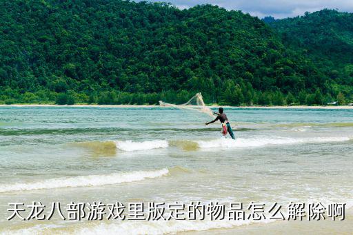 天龙八部游戏里版定的物品怎么解除啊
