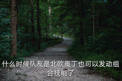 什么时候队友是北欧奥丁也可以发动组合技能了