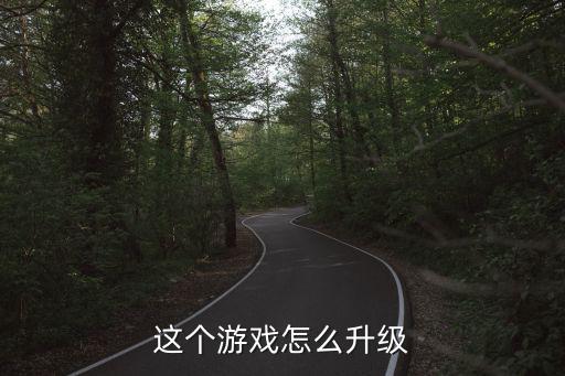 这个游戏怎么升级