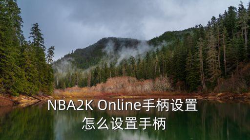 nba2k18手游摇杆怎么设置，NBA2K Online手柄设置 怎么设置手柄