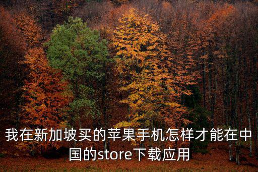 我在新加坡买的苹果手机怎样才能在中国的store下载应用